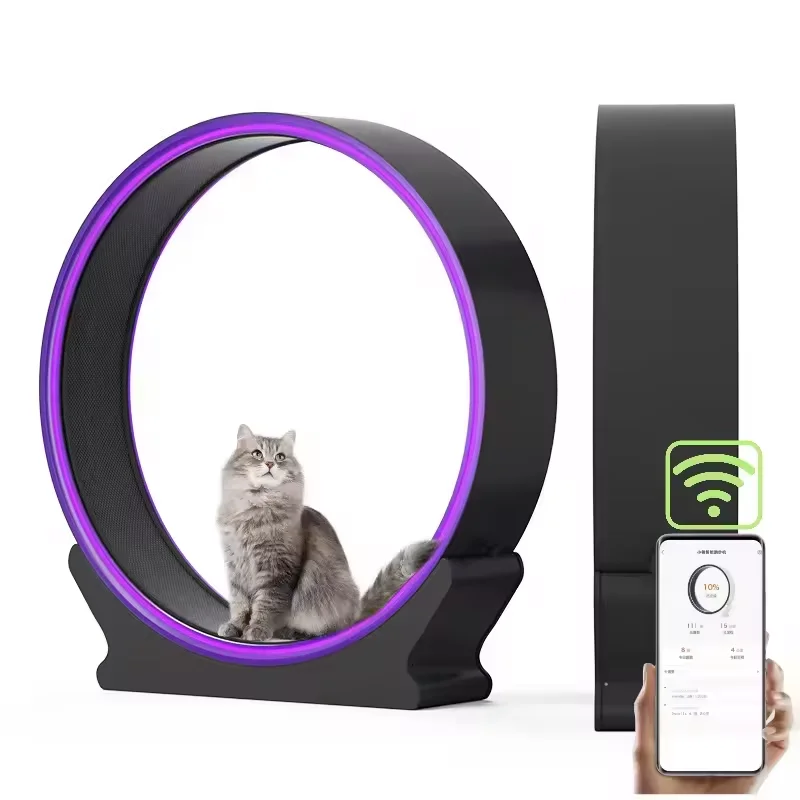 2024 New WIFI Cat Toys Circular Track Family Interactive Pet Treadmill Running Wheels Cat Crawl Racks Cat Treadmill Popularity