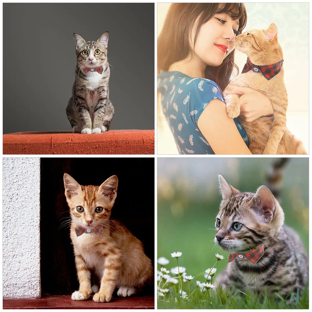 

2pcs Adjustable Cat With Breakaway Pet Kitten Neck Collar Decorative Comfortable For Cats Small Large Kitten Collars
