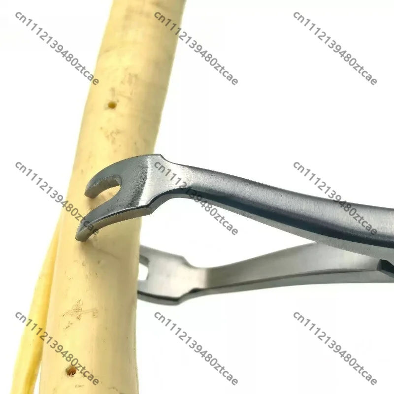 Veterinary Stainless Steel Self‑locking 2‑Point Bone Holding Reduction Forceps Pet Animal Fracture Orthopedic SurgicalInstrument