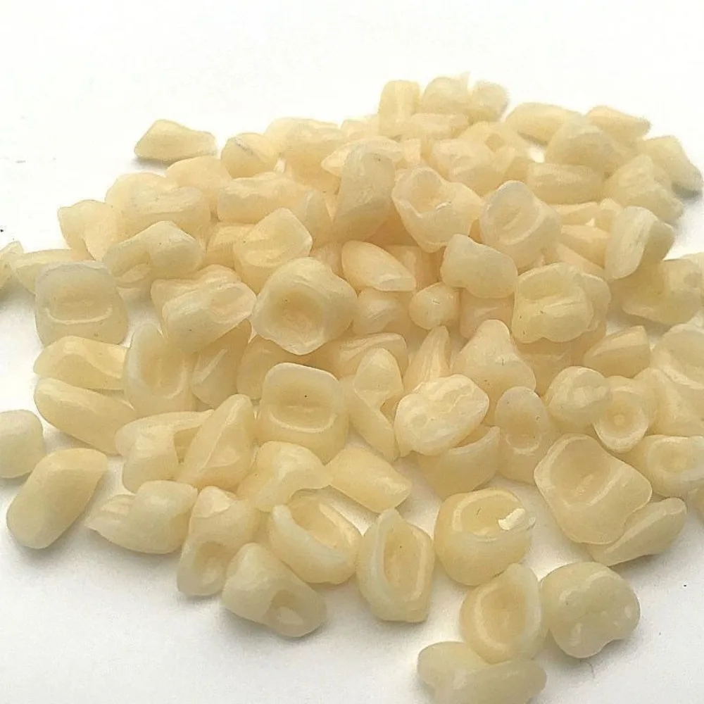 100/400 pièces de dents en résine mixtes (molaires antérieures et postérieures), résistantes à l'usure et anti-jaunissement, en résine médicale pour laboratoire dentaire et enseignement