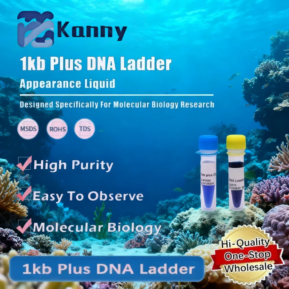 Reactivo de laboratorio de escalera de ADN de 1kb más para investigación de biología molecular Producto original