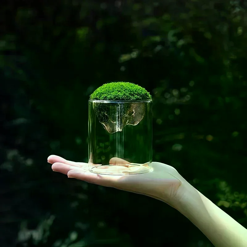 Terrarium For Mountain Views Moss Planter Hydroponic Plant Container Multifunctional Cup Home Decoration Great Gift Glass