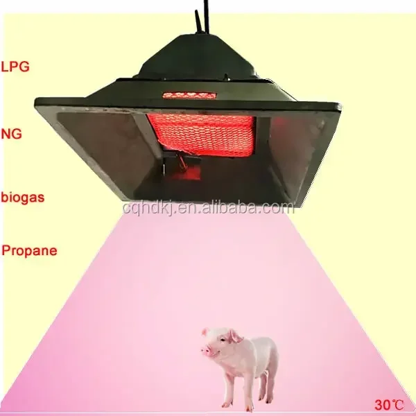 

Poultry House Pig Farm Biogas Heater