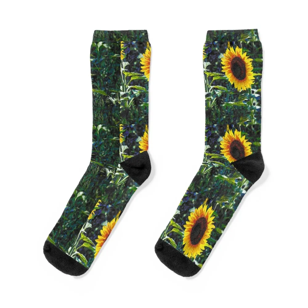 

Sunflower Vincent Van Gough inspired artwork Socks essential anti-slip Non-slip Women's Socks Men's
