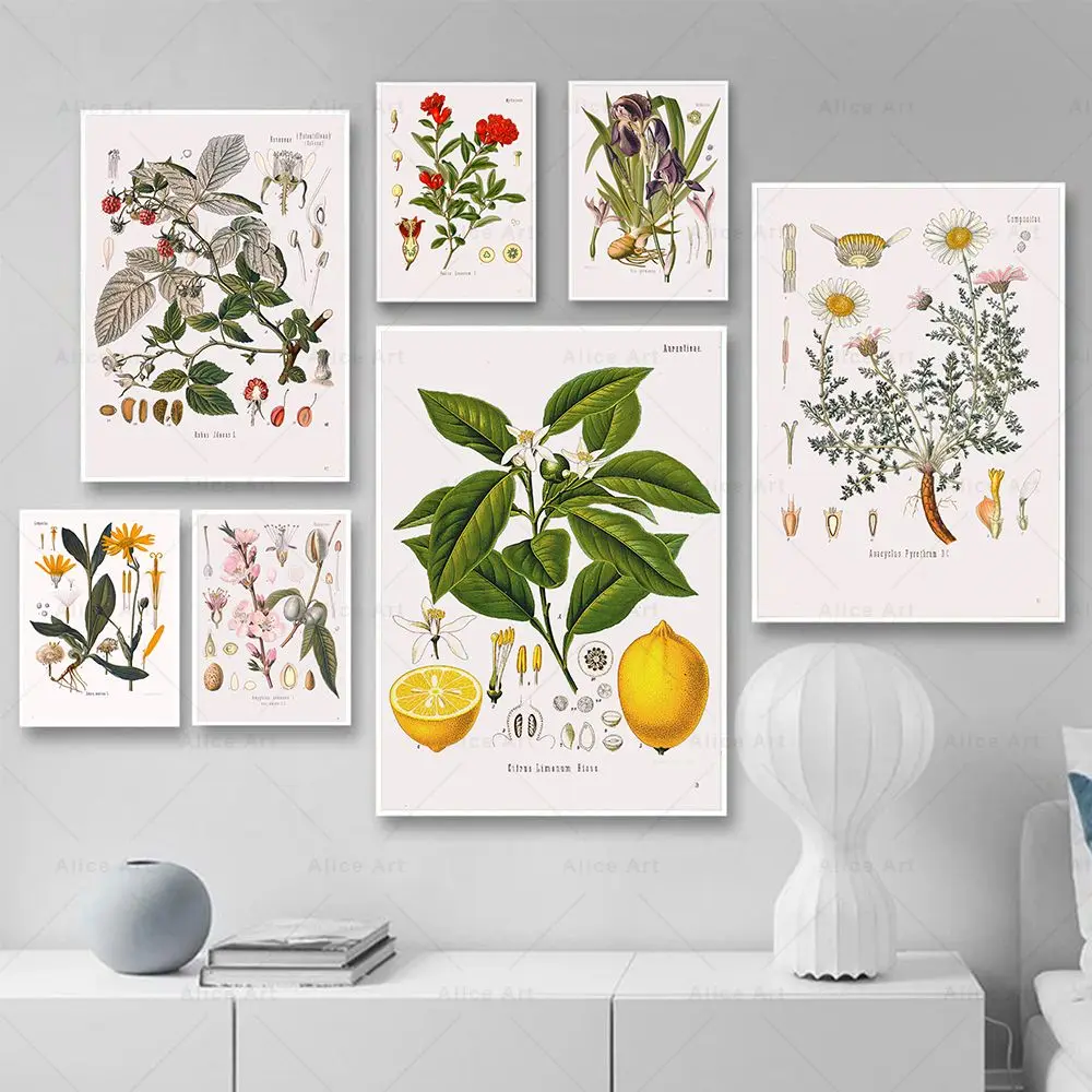 Vintage Botanical Flower Study Canvas Painting Herb Wall Art Medicinal Plant Poster Pictures Aesthetic Living Room Home Decor
