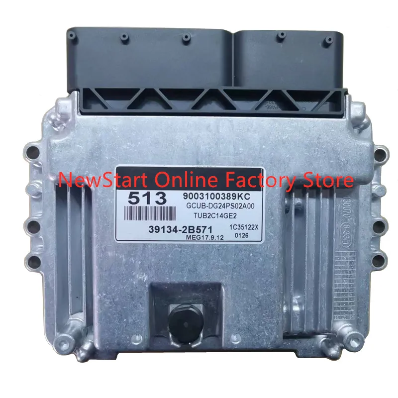 

39134-2B571 New ECU Original Car Engine Computer Board Electronic Control Unit 513 MEG17.9.12