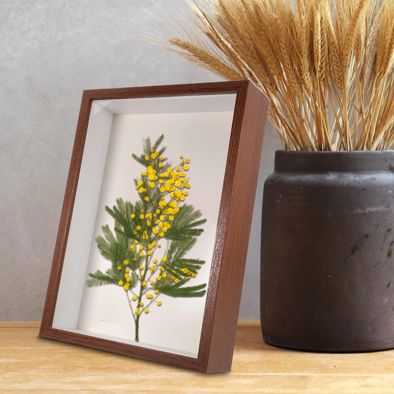 

Dried Flower Display For Diy Desktop Decor Specimen Photo Specimen Display Acrylic Floating Frame Home Office Decor Frame