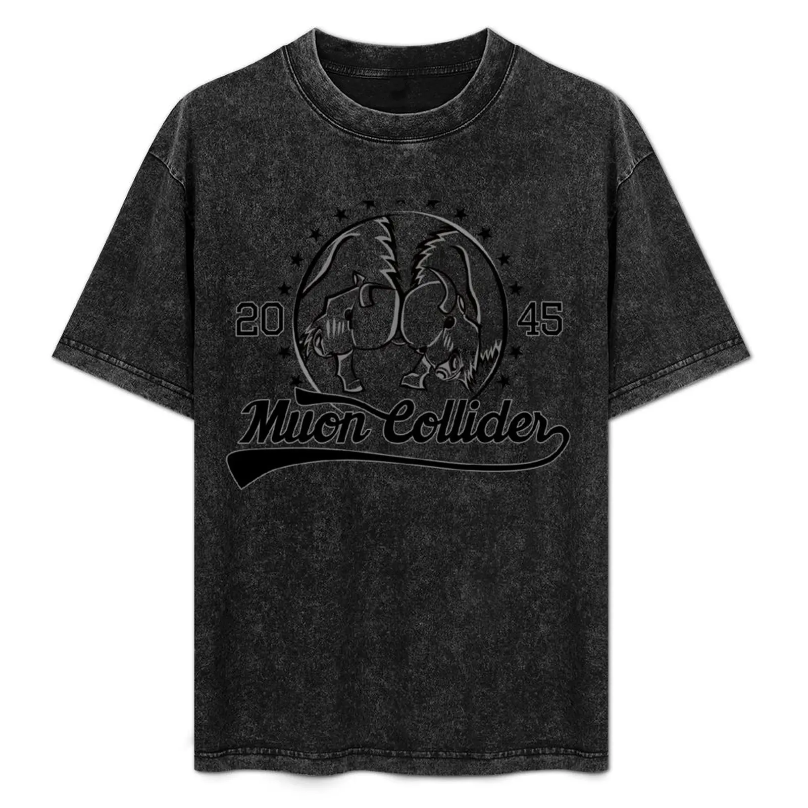 Muon Collider: 2045 T-Shirt Daily Wear Print T-Shirt
