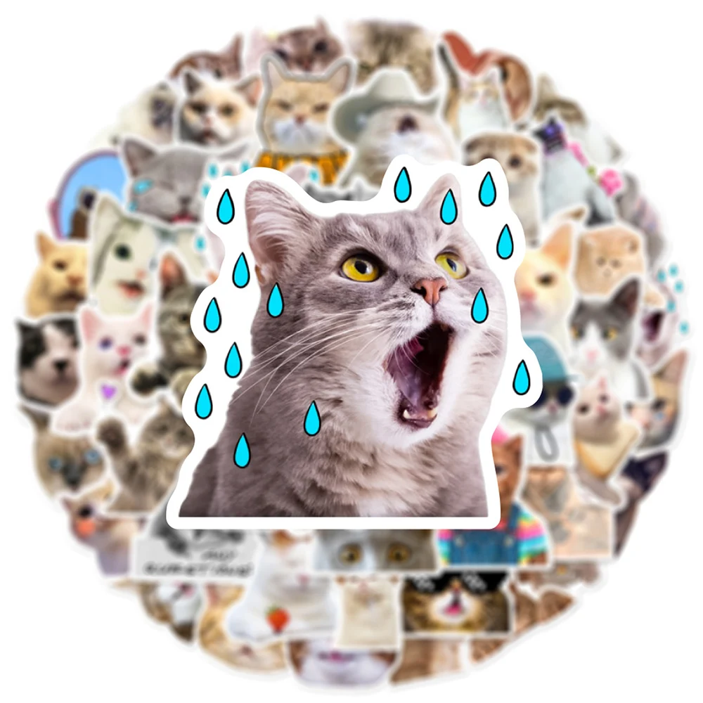 10/30/50 Stück Niedliche Lustige Katzen-Tier-Meme-Aufkleber Kätzchen-Cartoon-Sticker für Wasserflaschen, Handys, Gepäck, Kawaii-Dekoration, Spielzeug