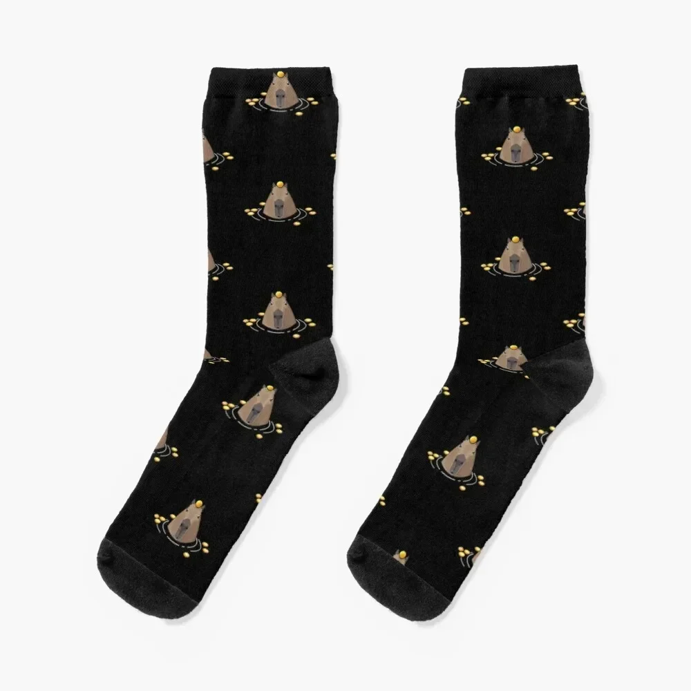 

Capybara Socks kawaii funny sock Lots Socks For Girls Men's