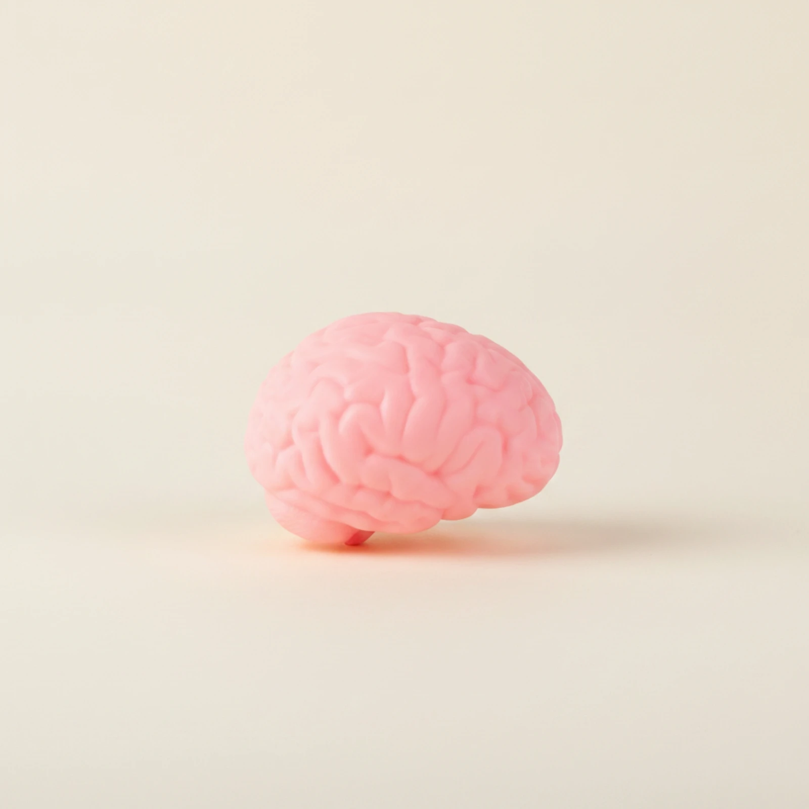 brain-stress-ball-soft-brain-press-toy-flexible-sensory-for-adults-office-classroom
