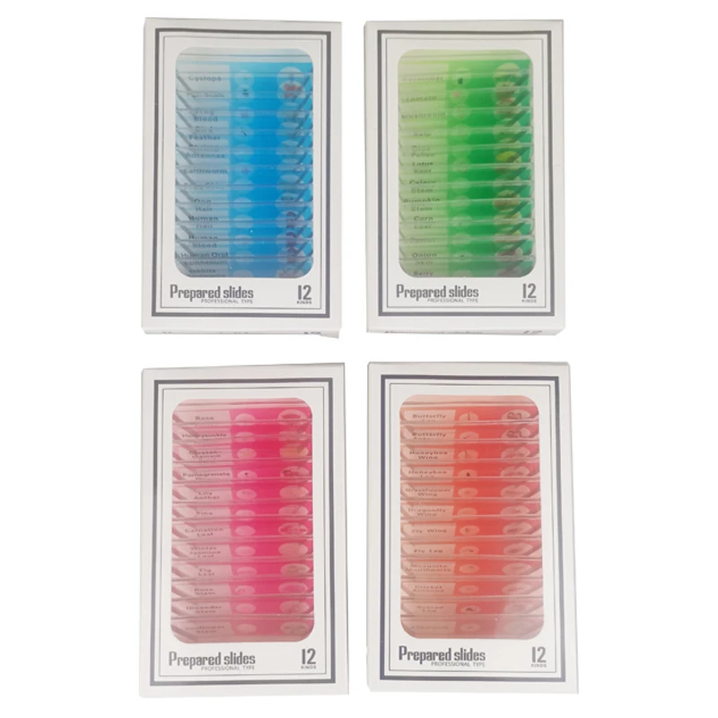 Microscope slides 48pcs 4 Colors Microbiological Bacterial Specimens Biology Microscope Slices Lab Specimen