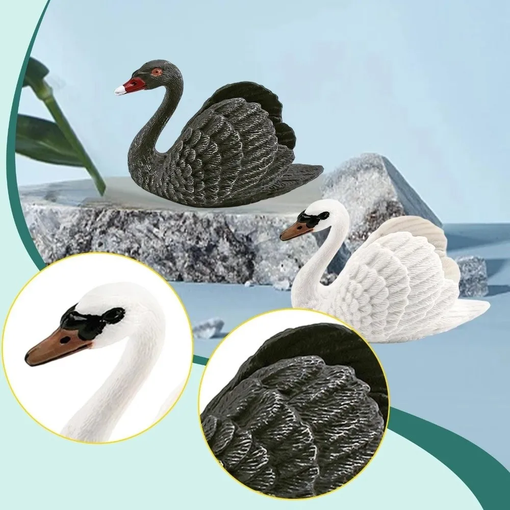 Gifts Plastic Swan Figurine Detailed Texture Realistic Appearance Swan Model Static Bird Figurine Tabletop Decoration