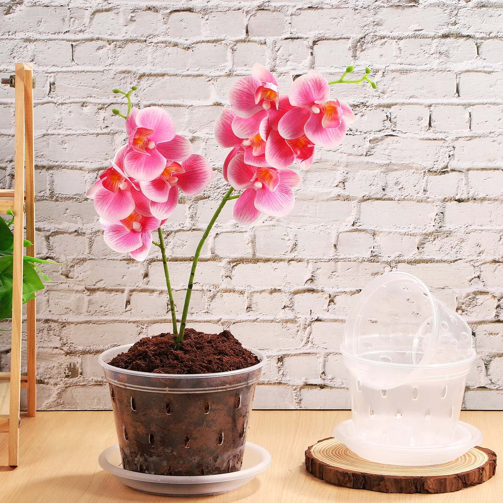 

3 Pcs Plastic Orchid Pot Clear Nursery Pots with Saucers Flower Planting for Plants Garden Flowerpot
