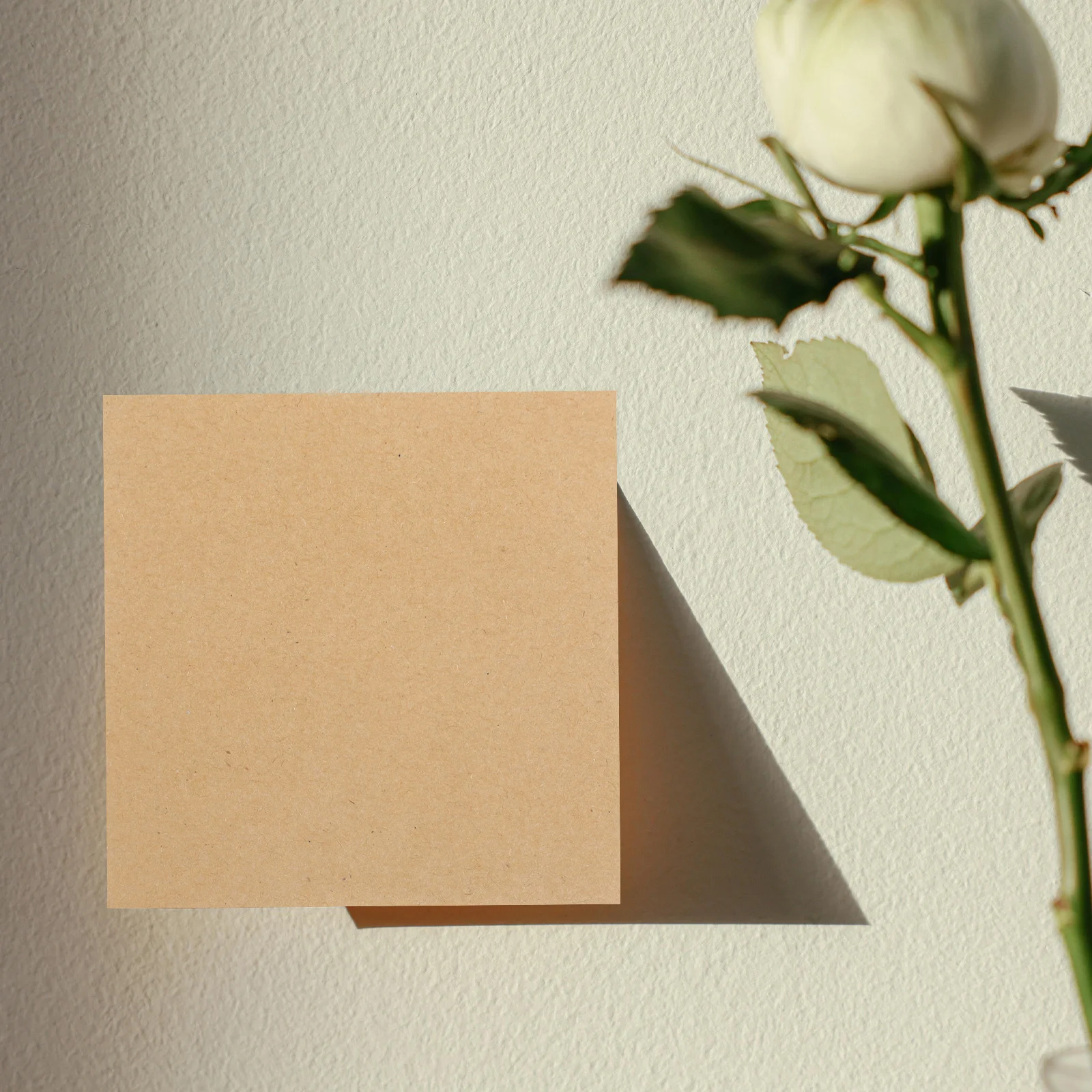 

5 Books Self-Adhesive Memo Pads Portable Small Writing Notepads to-Do Lists School Office