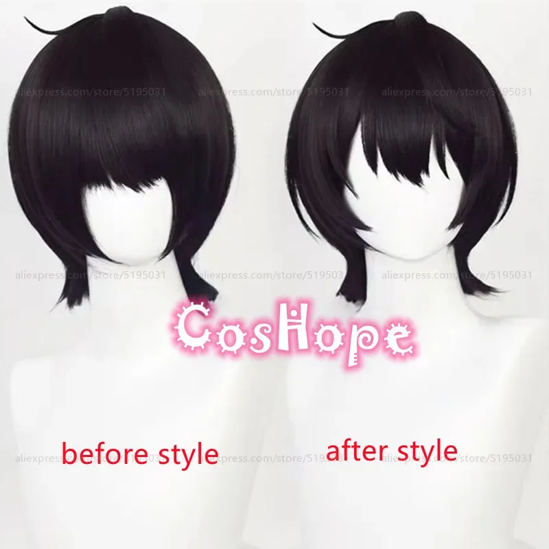 Sakuma Ritsu cosplay wig 30cm short black wig cosplay anime cosplay wigs heat resistant synthetic wigs Halloween