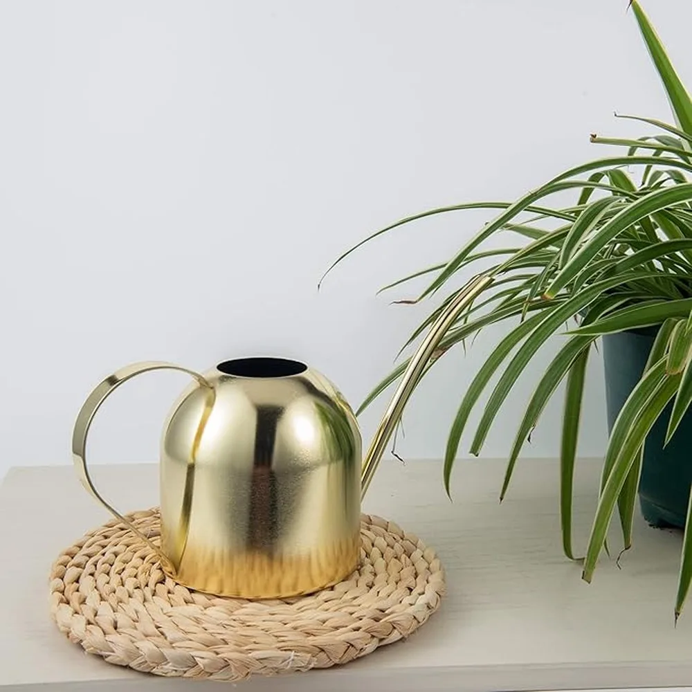 Brass Watering Can Indoor Plants Premium Stainless Steel Indoor Watering Can Long Spout For Easy