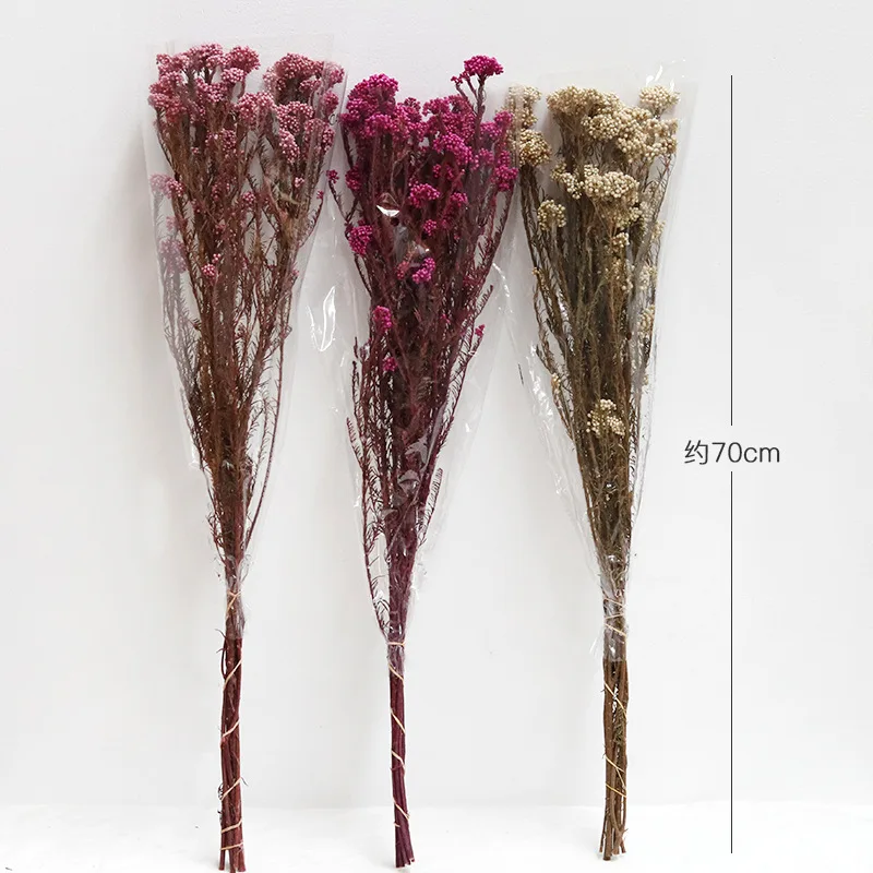 Dried Natural Flowers Artificial Decoration for Home Decor Interior Outdoor Decors Christmas Decorations Plant Flower Presser