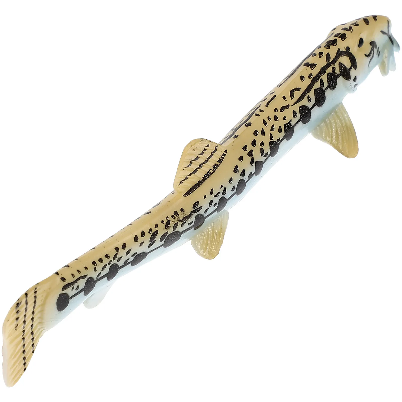 Cobitis Taenia Linnaeus, Animal Marino Pintado a Mano, Realista, Orgánico, Detallado, Adorno Educativo para Aprendizaje Temprano, Decoración de Mesa Oceánica