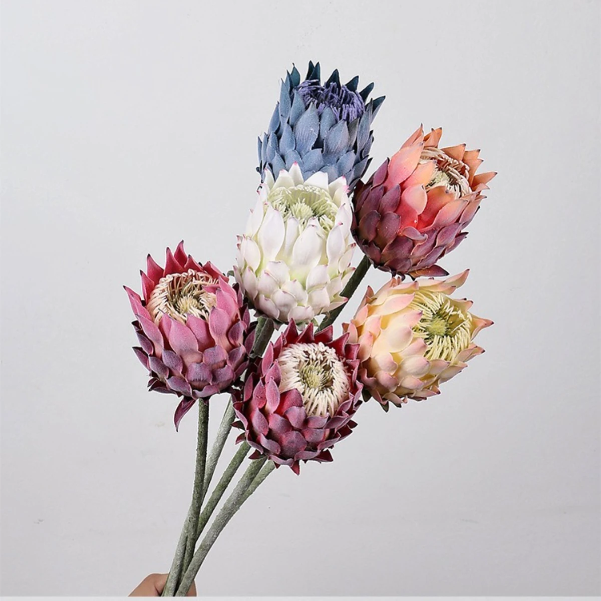 27,5 inch kunstmatige koning P - Photography Graduation recensie en prijs
