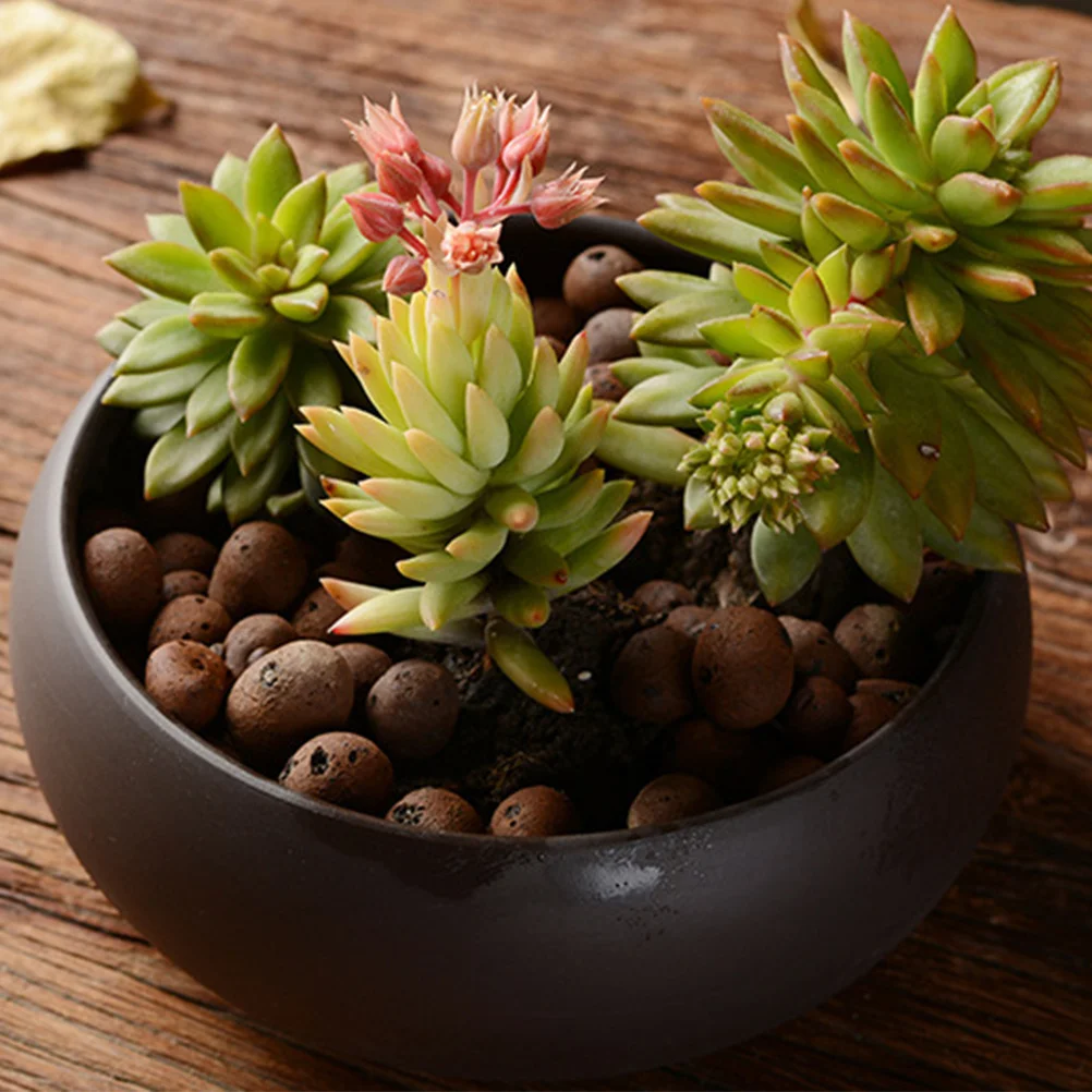 

Purple Sand Planter Pot Fine Craftsmanship Succulent Plants Pot with Drain Hole Home Office Desktop Flowerpot Decorative