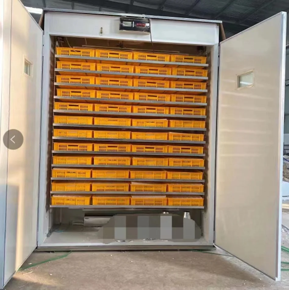 Egg Incubator / Hot Sale Chicken Egg Incubator /Cheap Price Egg Incubator Machine 10000 Pcs 9856 Eggs