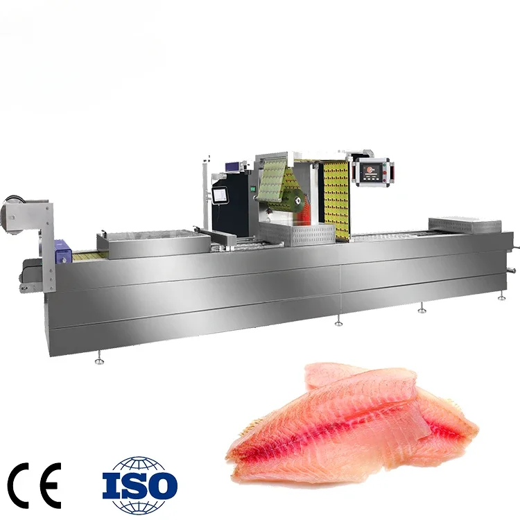 Tilapia fish fillet Packing Machine food vacuum packaging machine