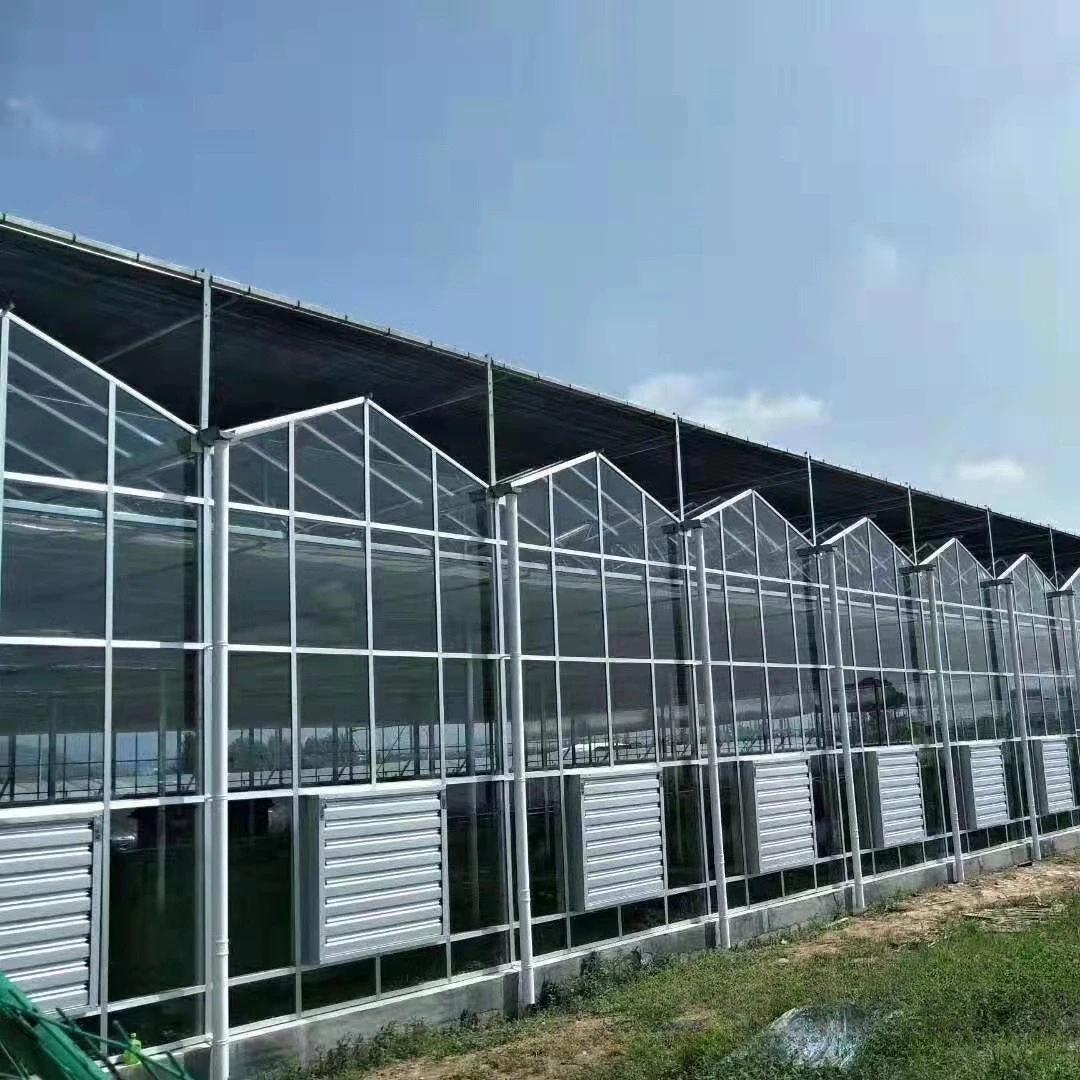 إطار دفيئة زجاجي 2025، دفيئة ذكية، دفيئة تظليل، دفيئة خضروات وزهور