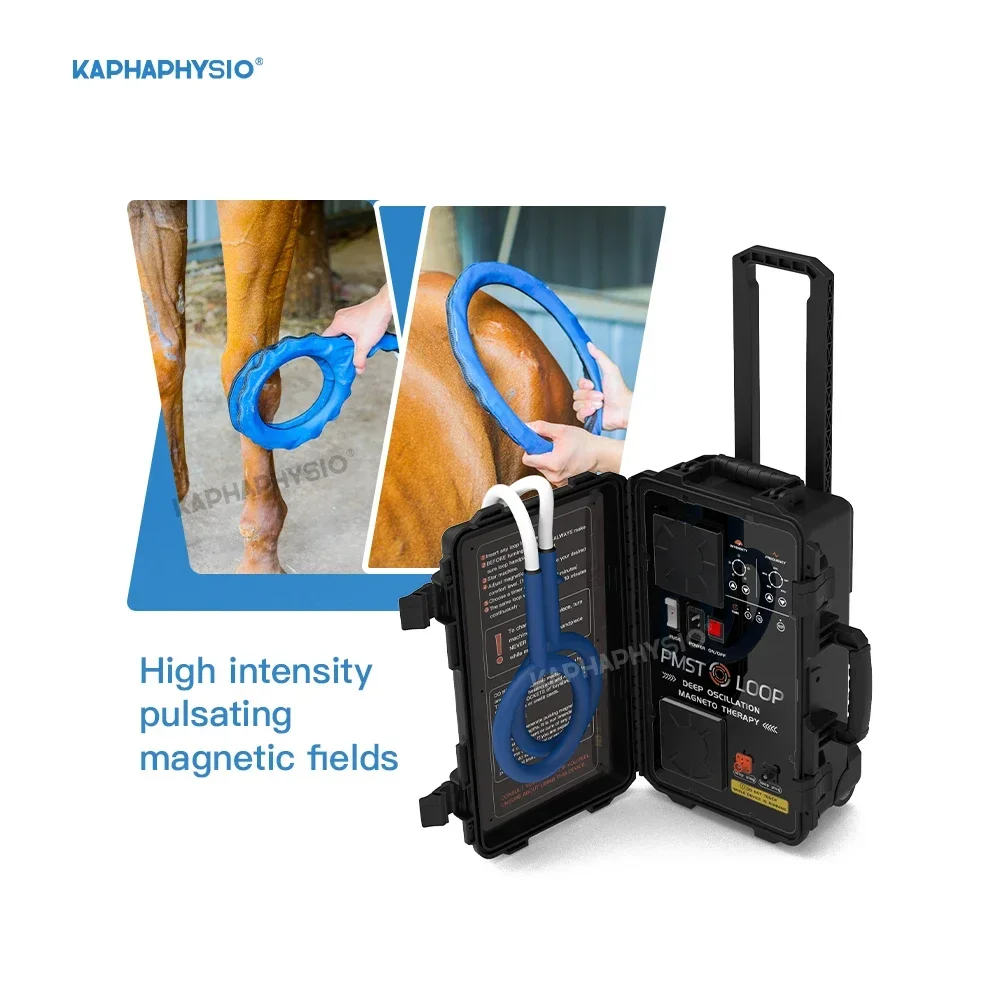 Pmst Loop Pemf Magn…