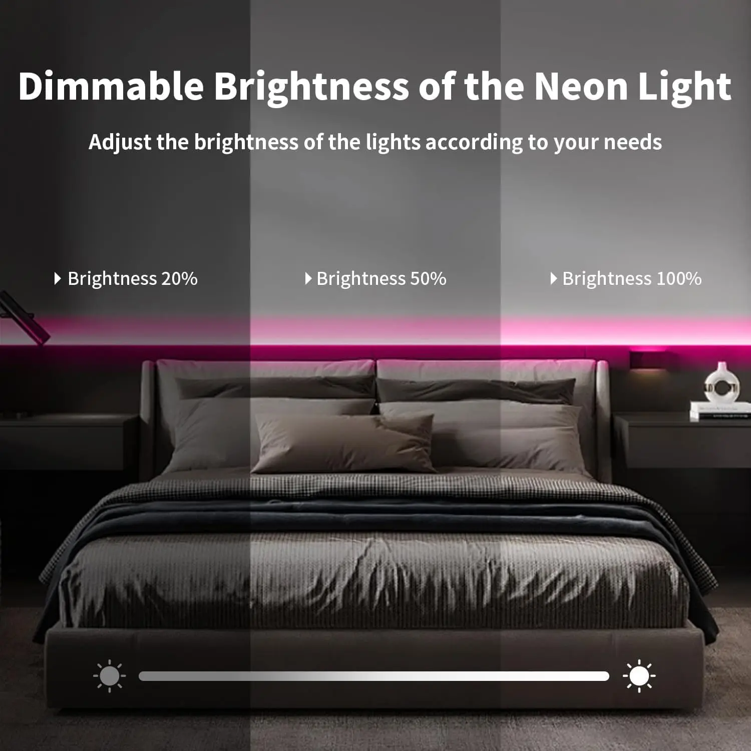 DC 24V RGBIC Neon Led Strip Light With Bluetooth 72Leds/Meter Outdoor IP65 Waterproof Neon Rope Lights App Remote Control Band