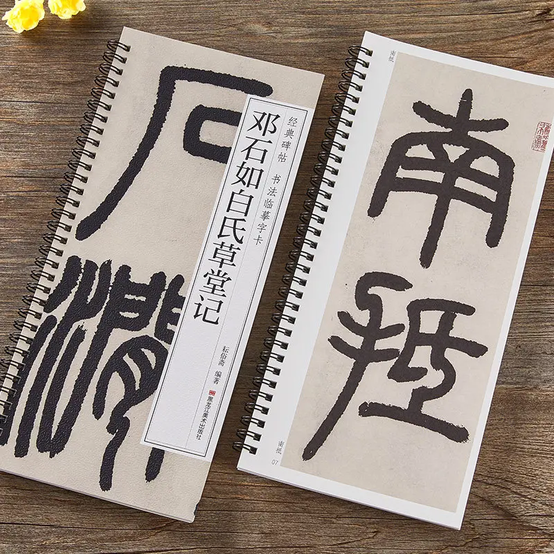 Deng Shiru Seal Script Calligraphy Copybook Cards Bai Shi Cao Tang Ji with Annotations for Beginners Adults Practice Art Supply