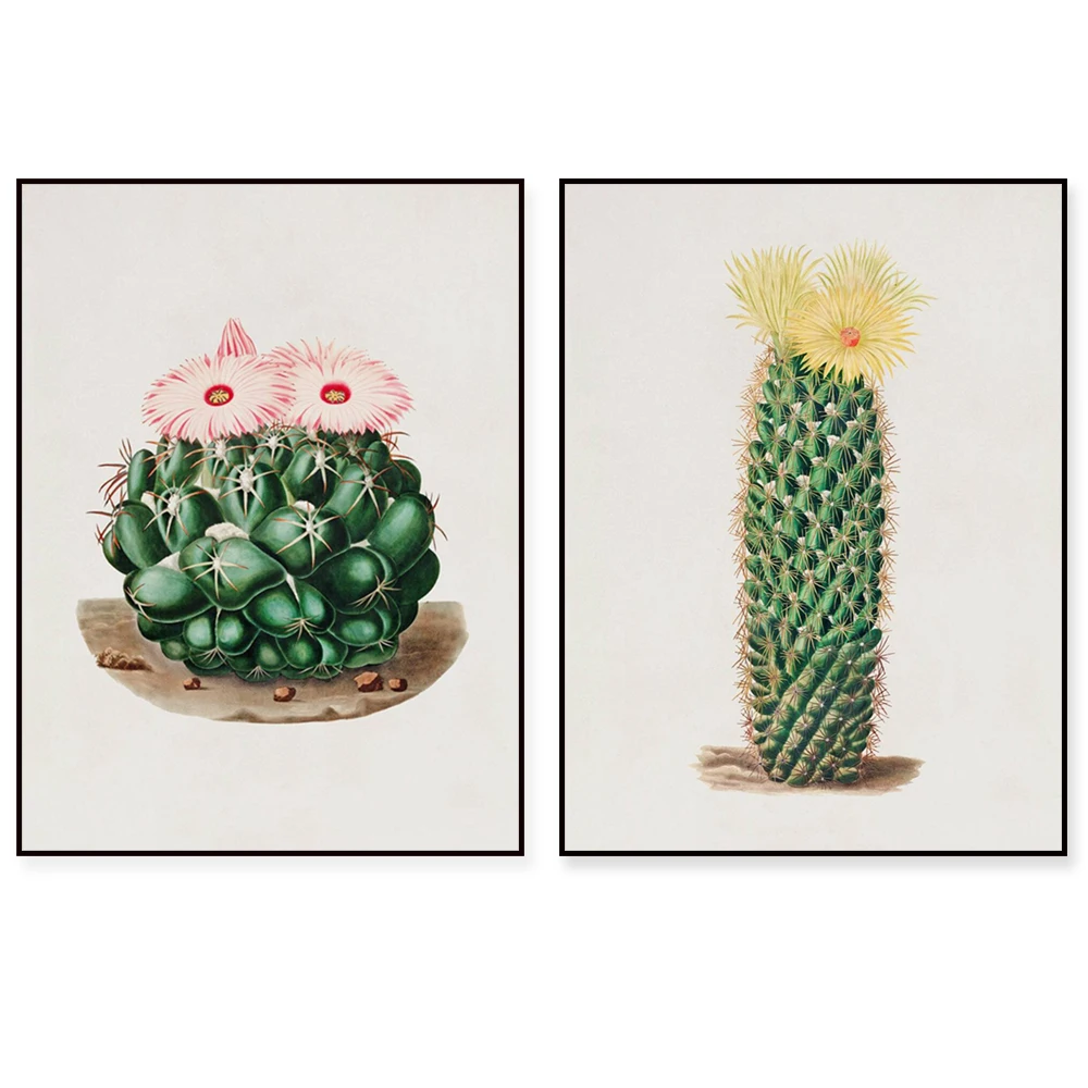Retro-style succulent cacti, violet cacti, light pink cacti, sun cacti, desert bohemian style plant posters