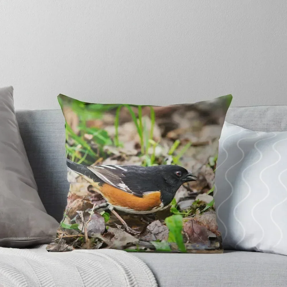 

Eastern Towhee Throw Pillow Decorative Cushion Cover Custom Cushion home decor items Ornamental Pillow pillow