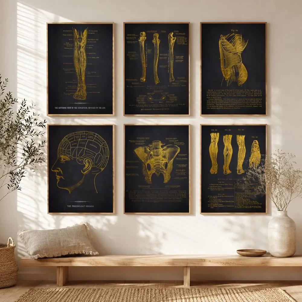 Anatomy Chart Human Body Poster All-match HD Waterproof Self-Adhesive Wall Art Sticker For Home Bedroom