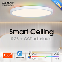 Ultra-thin Smart Ceiling Lamp LED APP Tuya Voice Control Music Model Festival Atmosphere 24W Adjustable110V220V Livingroom Study