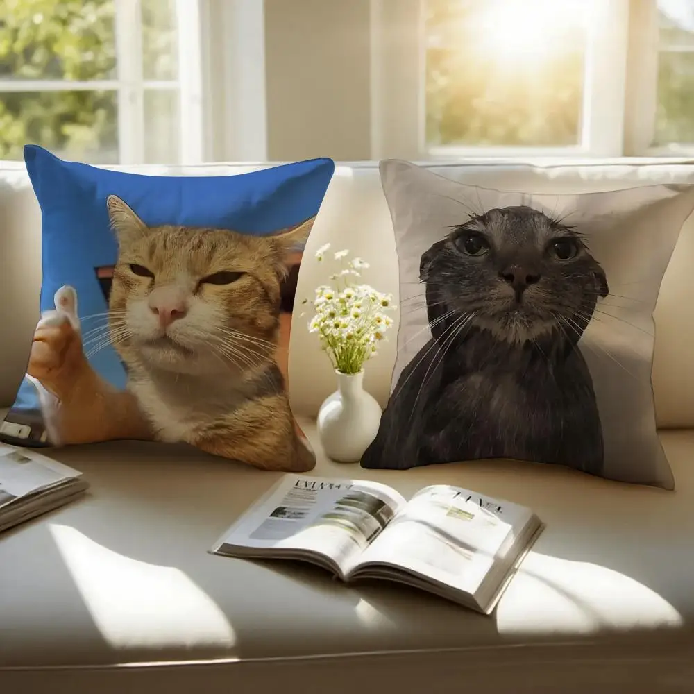 Pet Cat Funny Memes Cushion Cover Sofa Cushion Cover Personalized Gift Living Room Home Decor Pillow