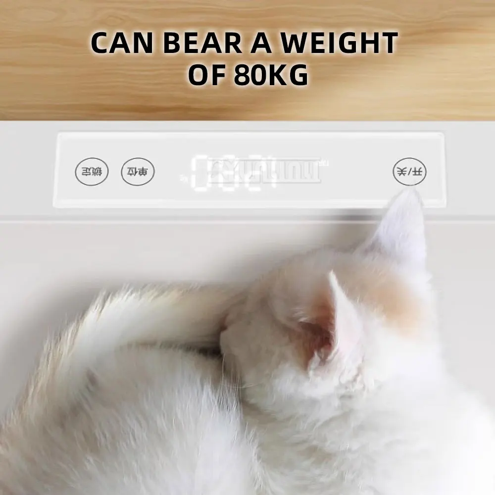 DC05 Pet Weight Scale - Accurate Weighing for Your Furry Friends