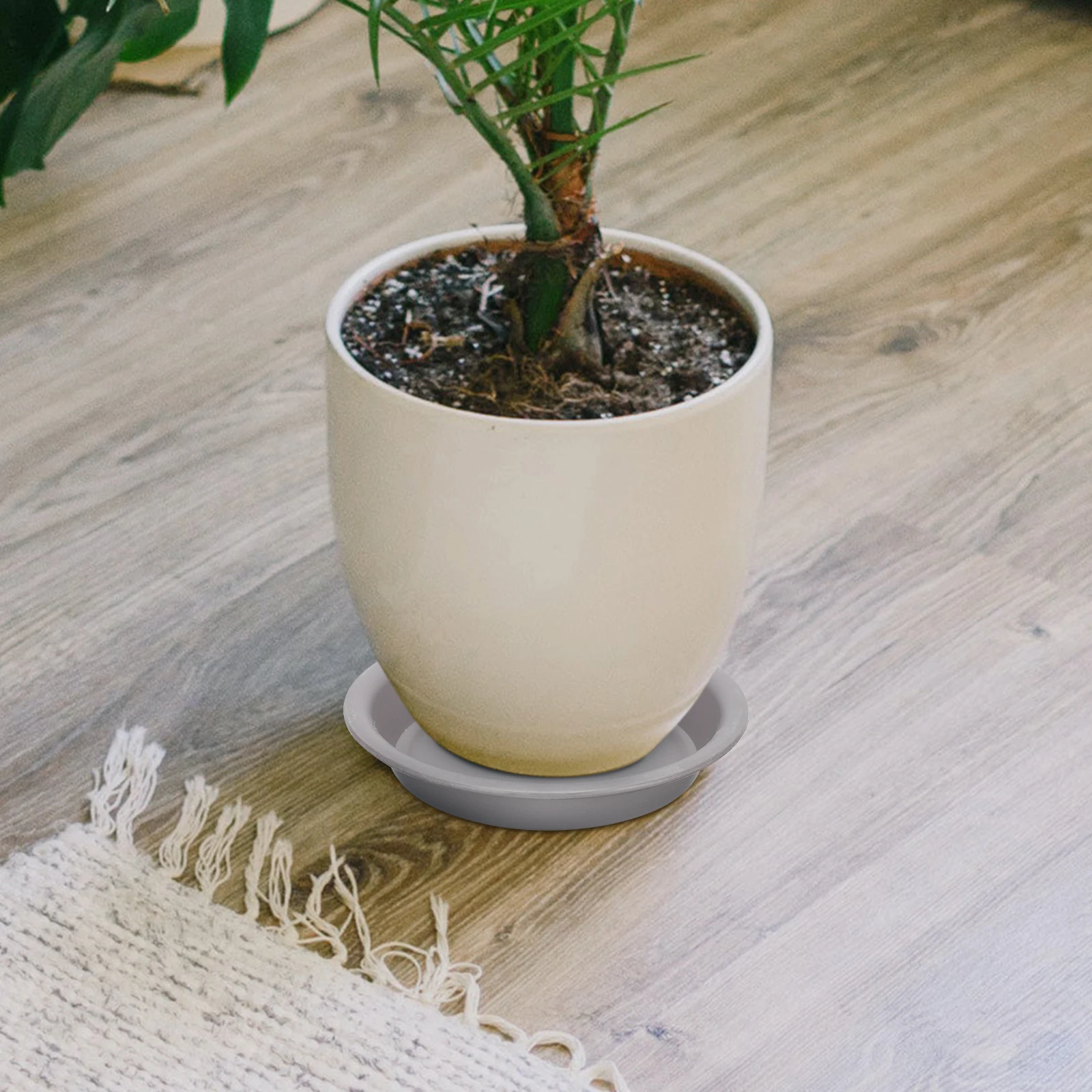 

10 Pcs Flowerpot Trays Round Planter Base Plastic Container Gardening Water Plates Holders Bonsai Plant Saucers Lightweight