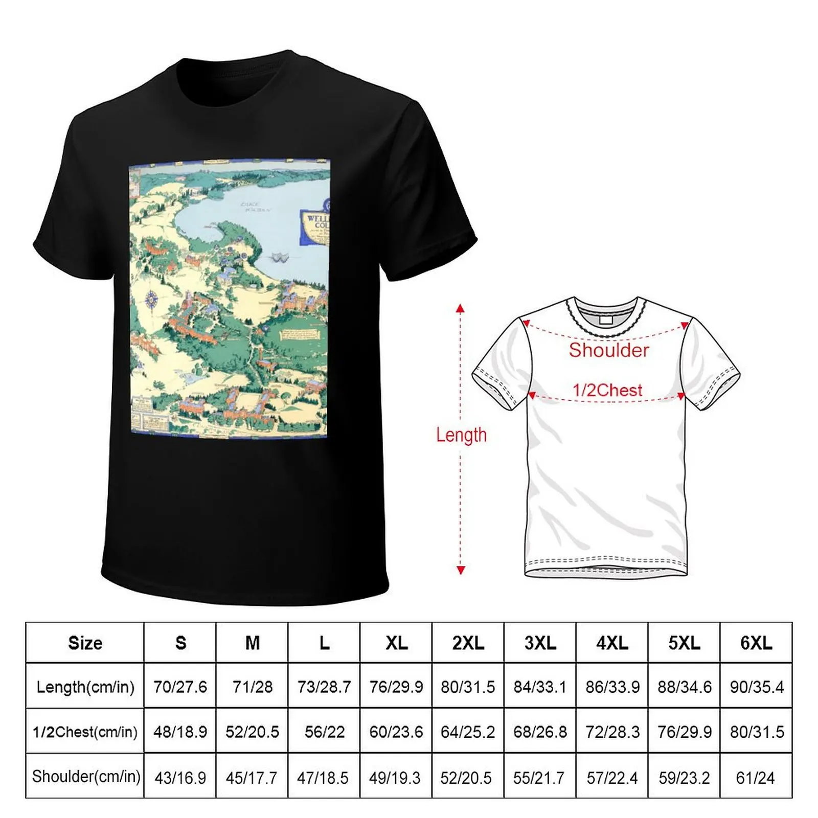 WELLESLEY College map MASSACHUSETTS dorm decor graduate T-Shirt Basic All Season Solid T-Shirt