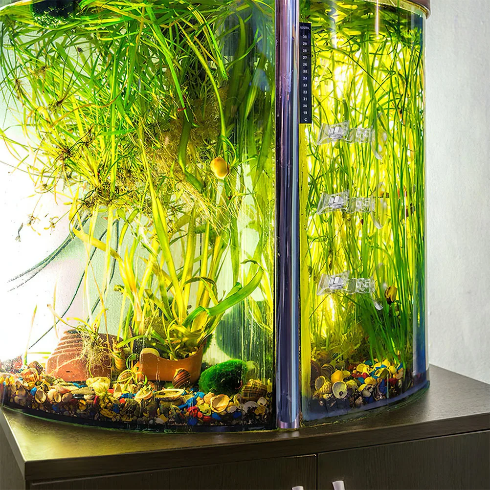 

6Pcs Fish Tank Suction Cup Clips Strong Hold Rotatable Adjustable for Seaweed Vegetables Feeding Aquarium Food Clip Holder