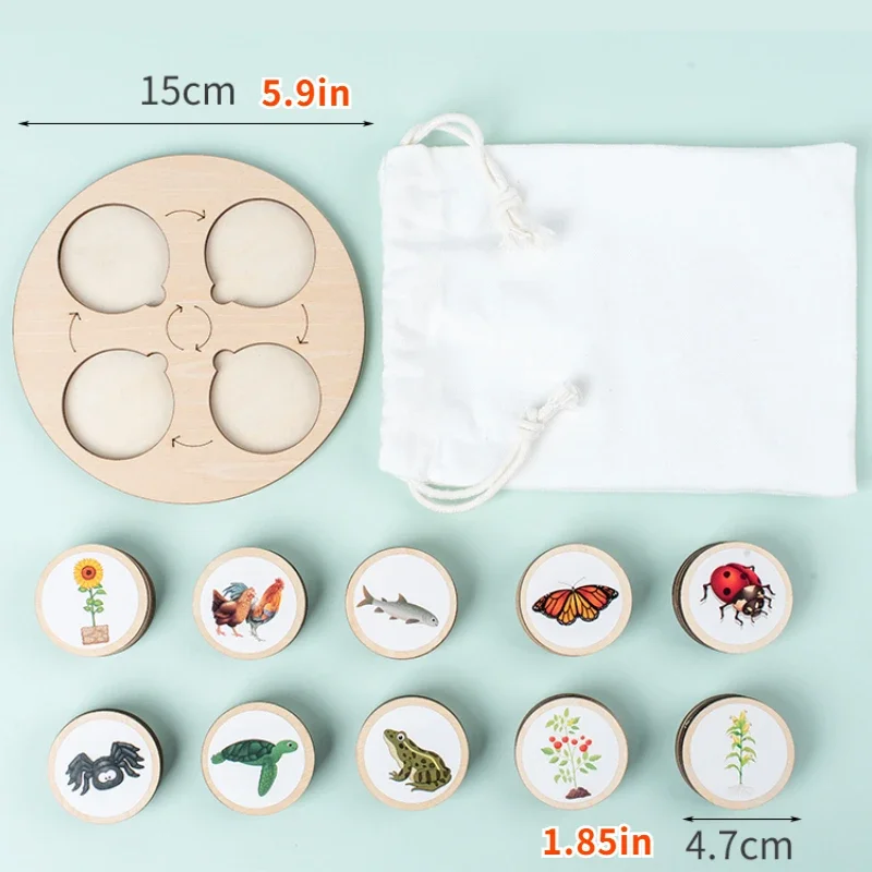 High Quality Wooden Montessori Life Cycle Tray Jigsaw Puzzle of Animal and Plant Life Cycle Change Enlightenment Education Toy