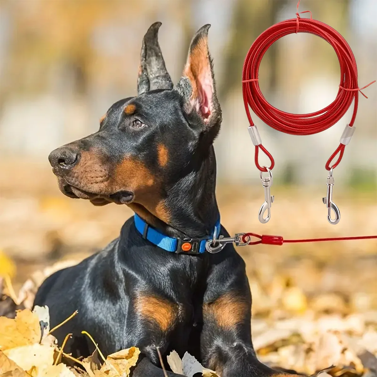 3m/5m Edelstahl-Hundeleine für hohe Beanspruchung, geeignet für kleine und große Hunde, bissfeste Stahlseil-Leine, Haustierleine. – Detail 5