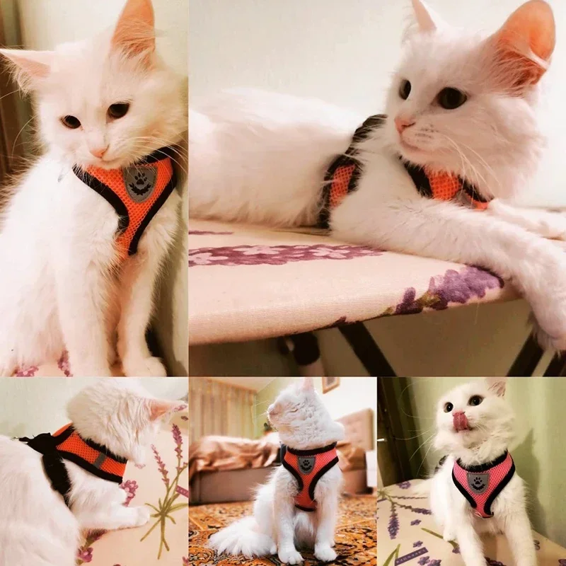 Arnés transpirable ajustable para perros y gatos – Paseos cómodos - imagen 3