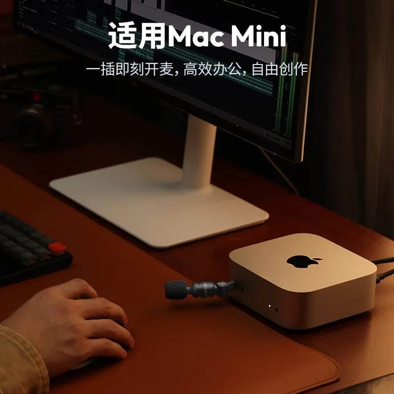 USB C Mini Microphone for Phone, Small Portable Mic for Video Recording, Compact Clip-on for Podcast