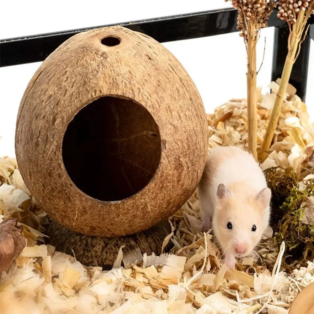 

Scratch-resistance Coconut Shell Hamster House Bite Resistant Stable Structure Hamster Nest Small Animal Hideout