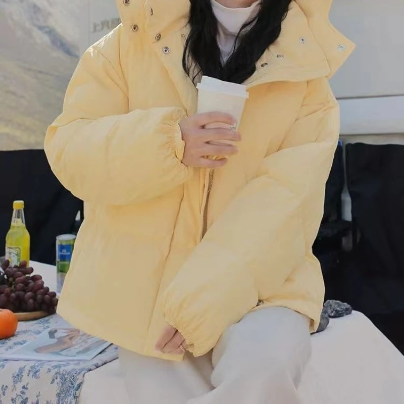 ملابس نسائية جديدة مبطنة بالقطن ملابس قصيرة مبطنة بالقطن سترات فضفاضة مبطنة بالقطن للشتاء سترات بغطاء للرأس #3