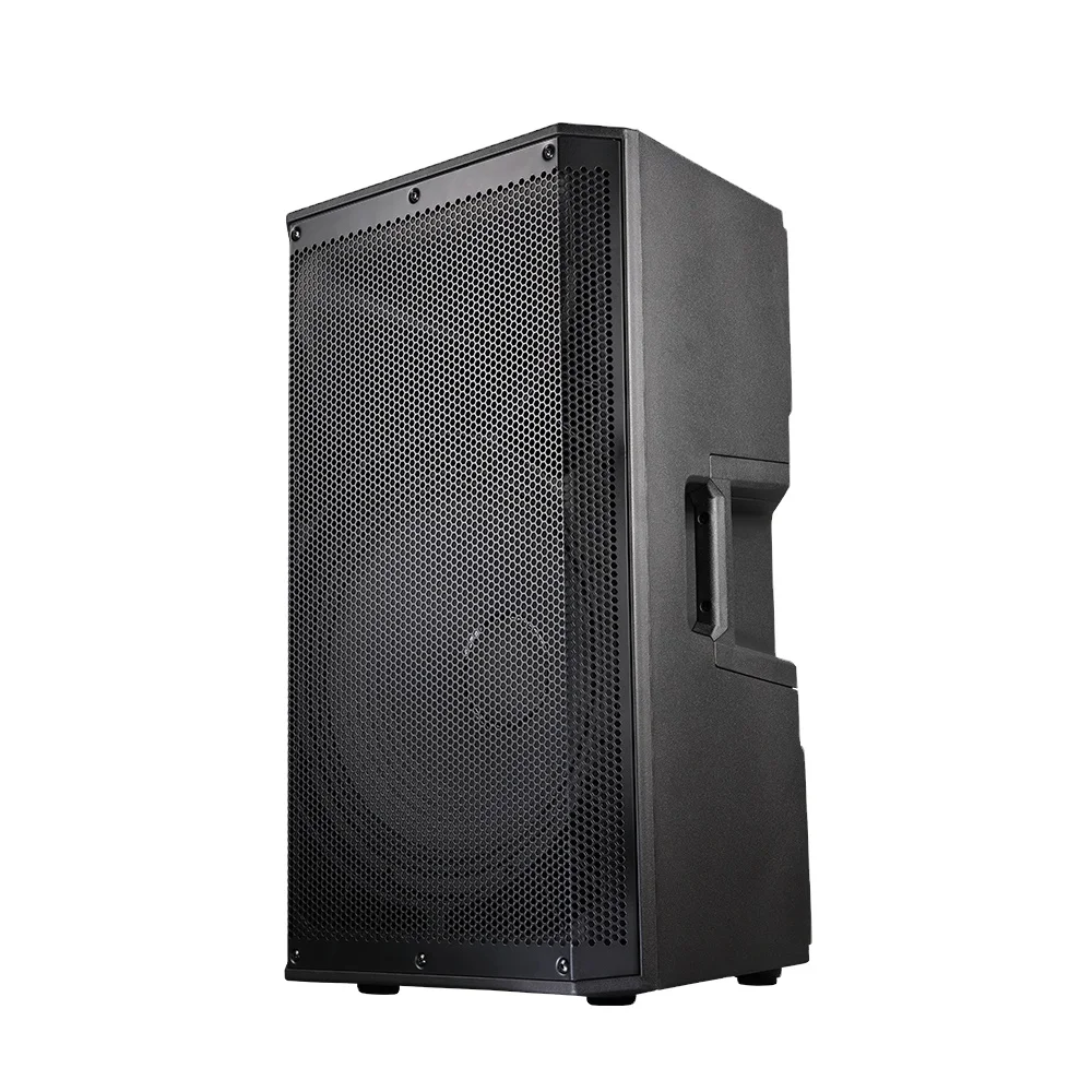 

15 Inch Professional Audio System Active Loudspeaker