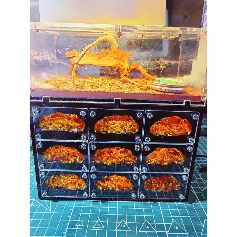 Pet Cage Antnest Acrylic Sand Nest Home Villa Palace
