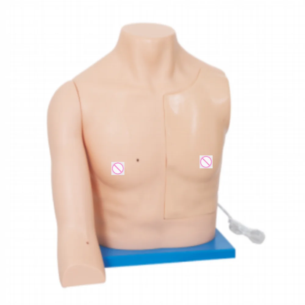Intravenous Intervention Training Model Medical Science Venous Intervention Simulation Nursing Teaching Aids for Medicine Colleg