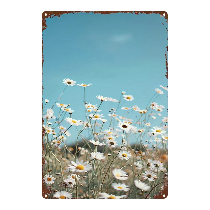（2D Tin painting）White Daisy Blue Sky Iron Metal Tin Sign 8x12inch Rustic Wall Decor Plaque for Bar Kitchen